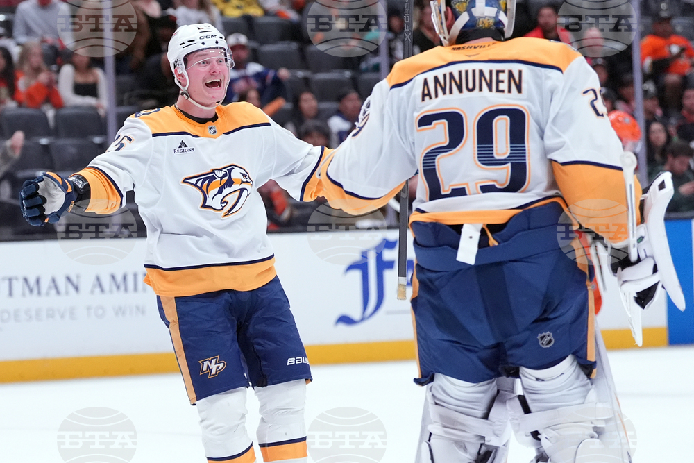 Predators Ducks Hockey