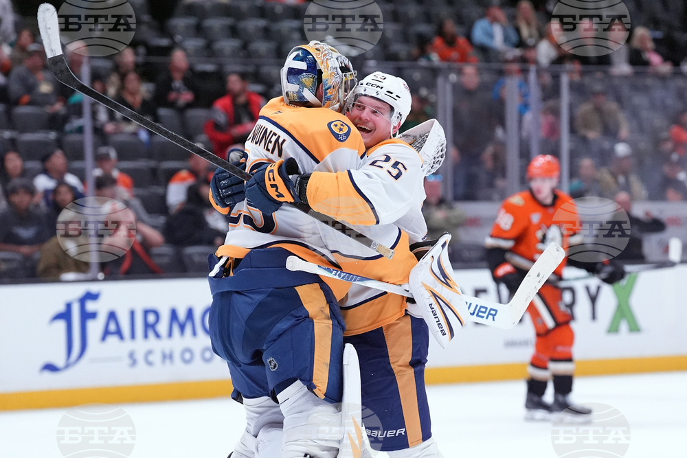 Predators Ducks Hockey