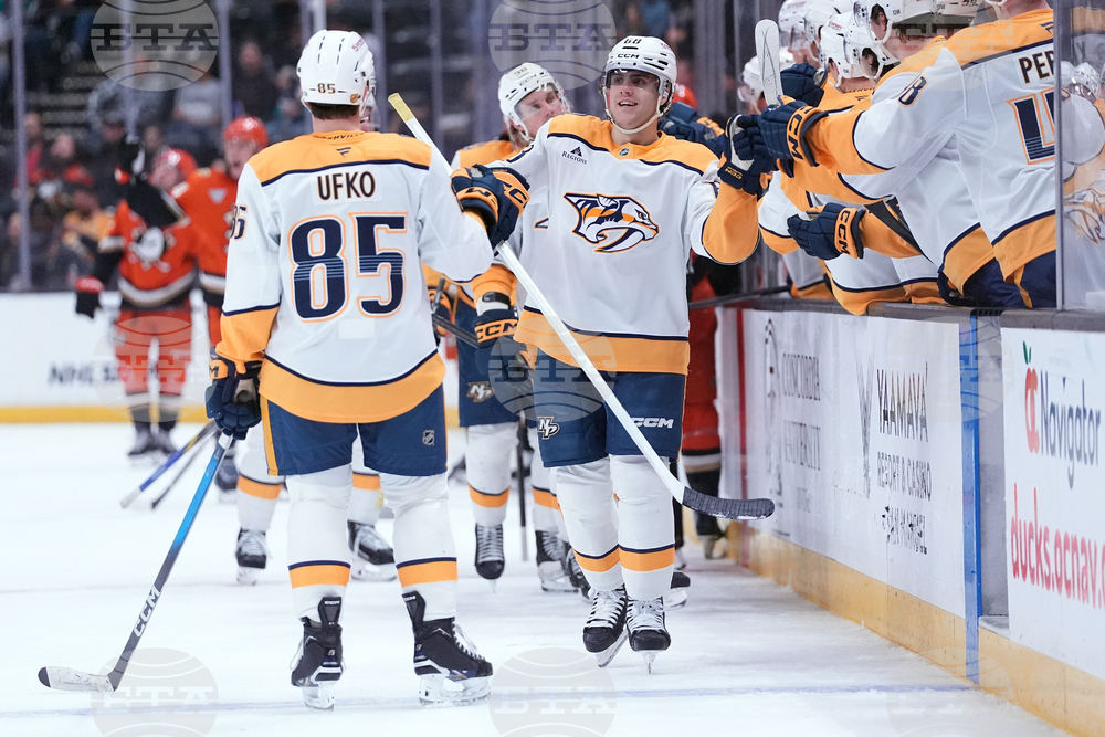 Predators Ducks Hockey