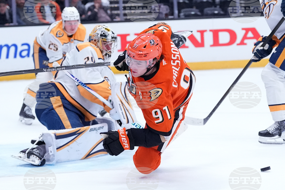 Predators Ducks Hockey
