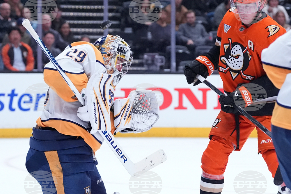 Predators Ducks Hockey