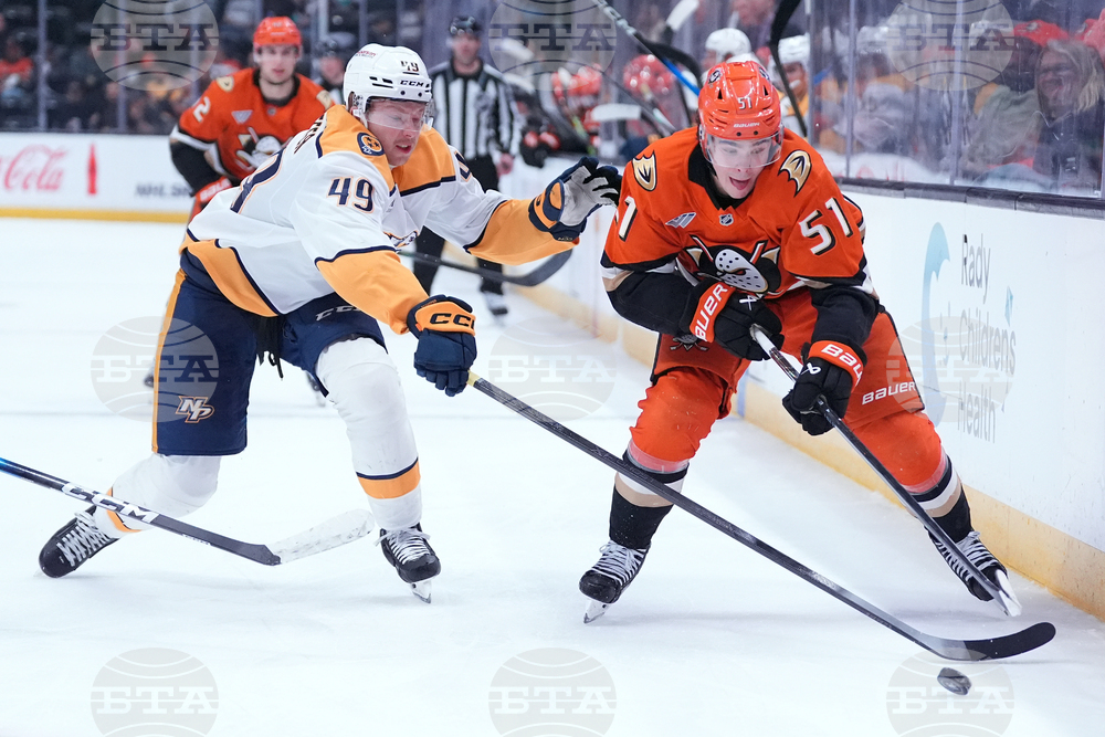 Predators Ducks Hockey