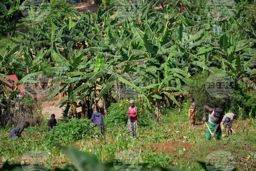 Rwanda Protecting Farmland