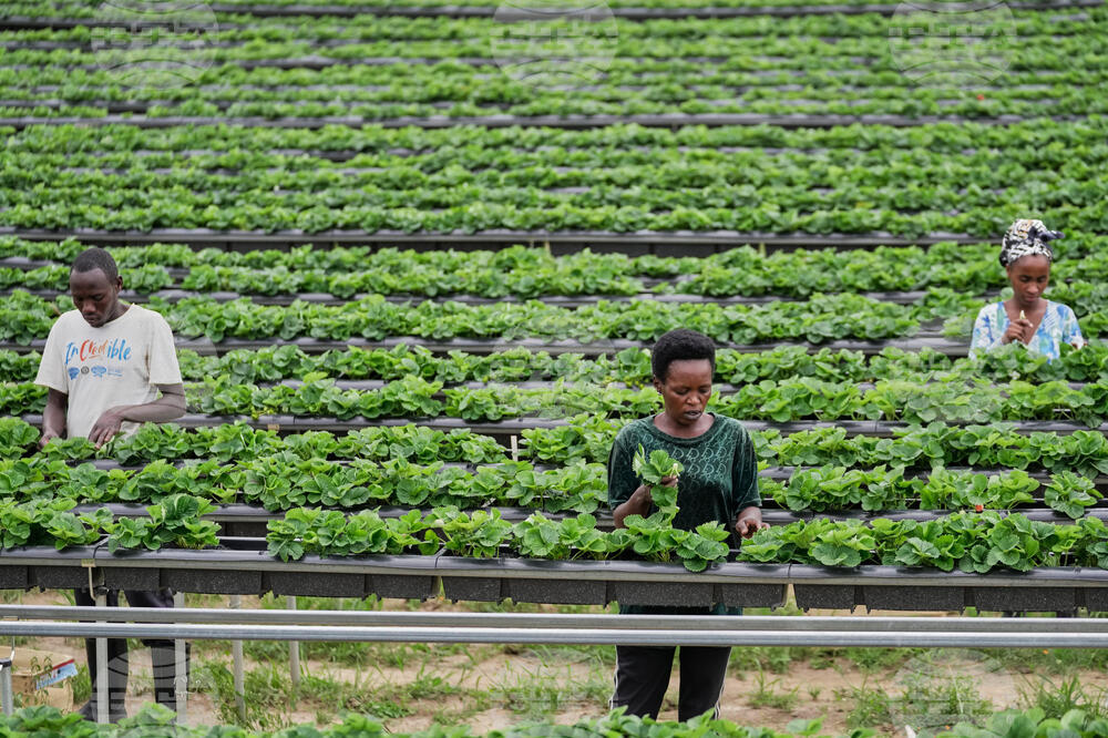 Rwanda Protecting Farmland