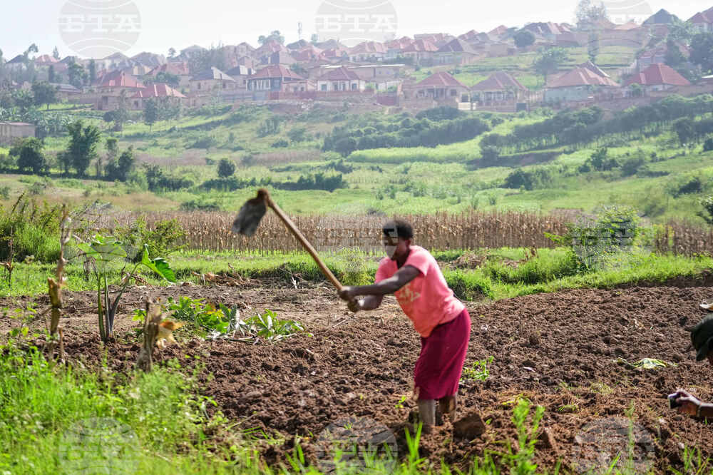 Rwanda Protecting Farmland