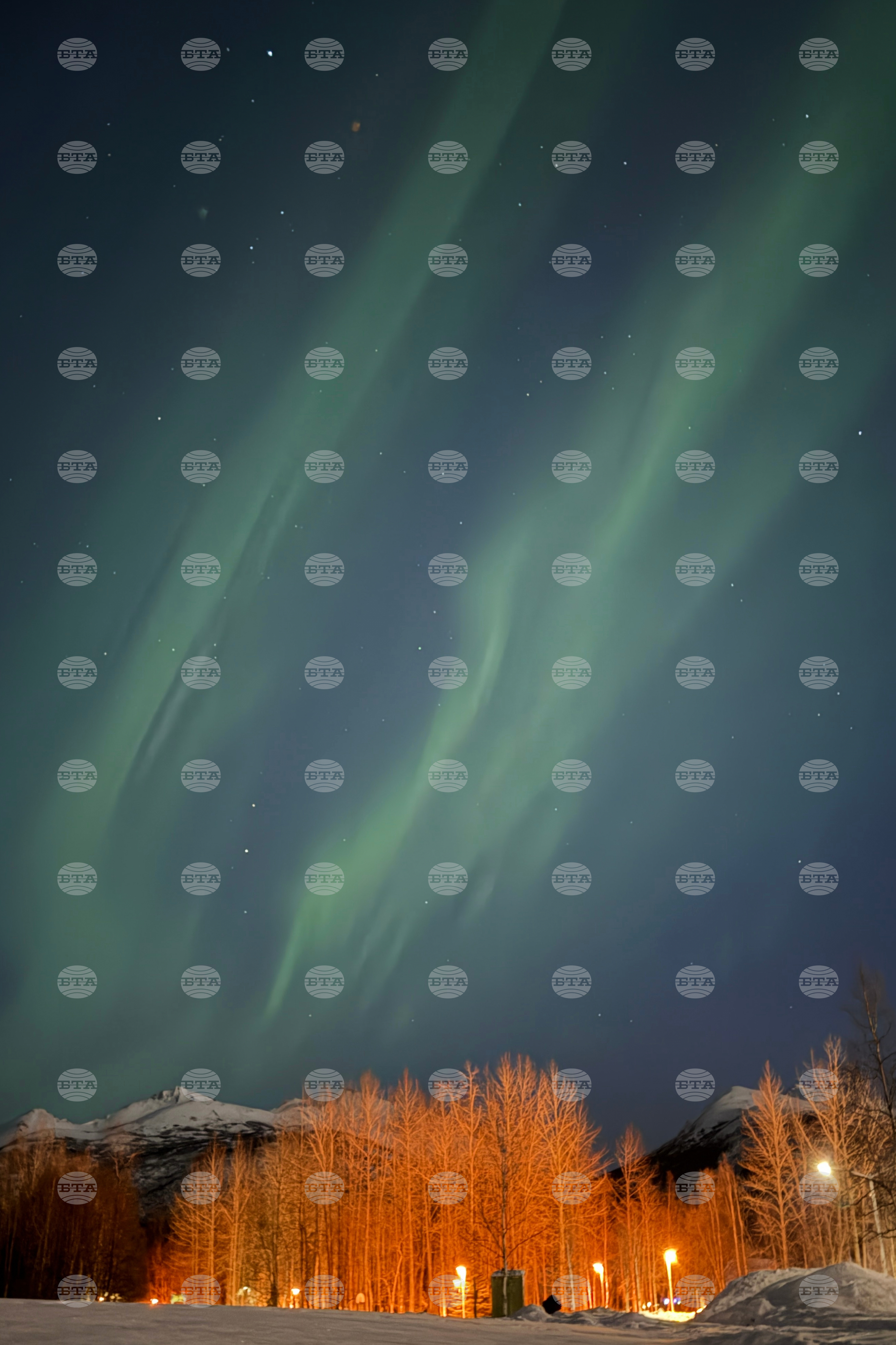 Top Vertical Photos Photo Gallery