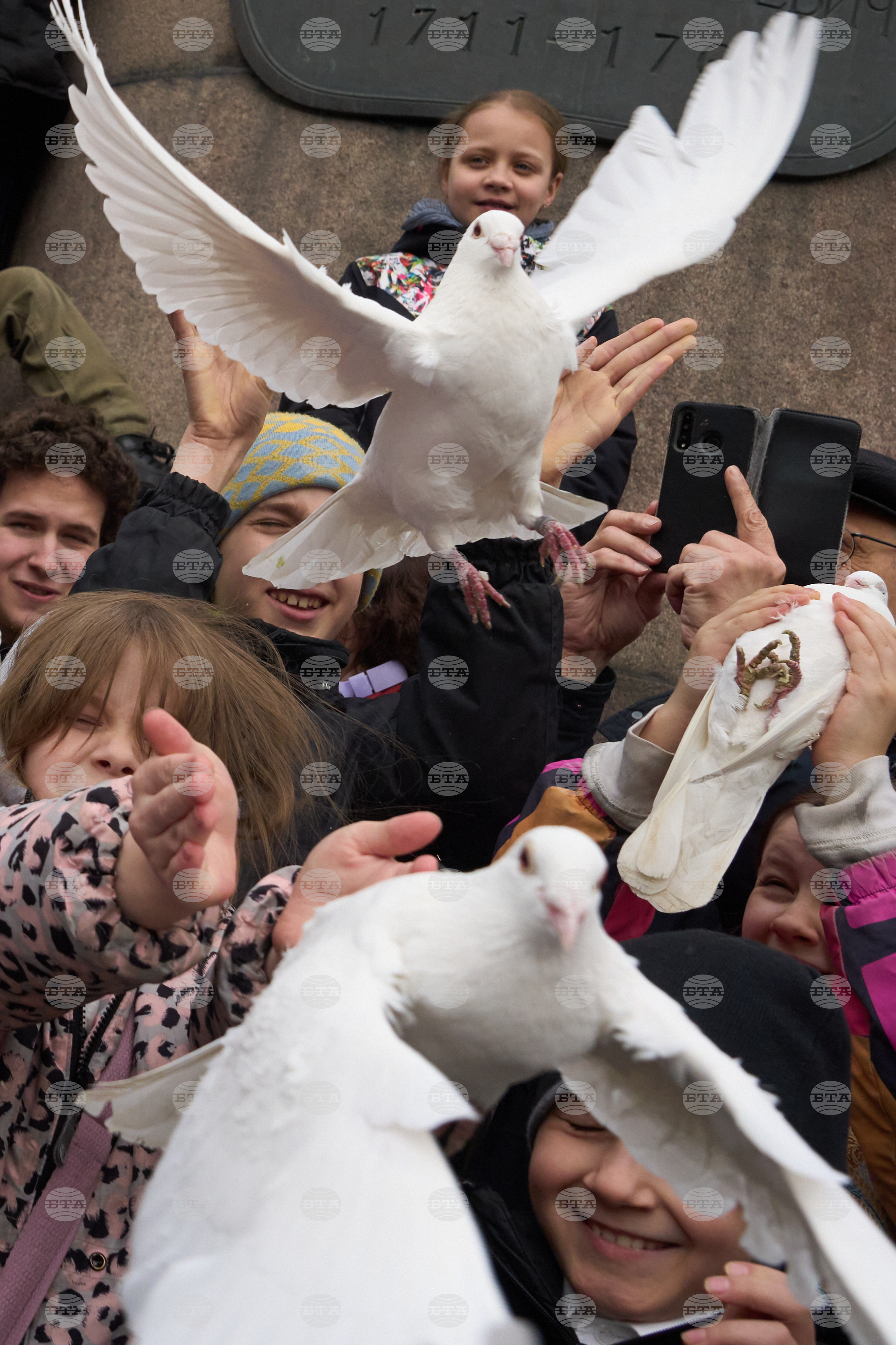 Top Vertical Photos Photo Gallery