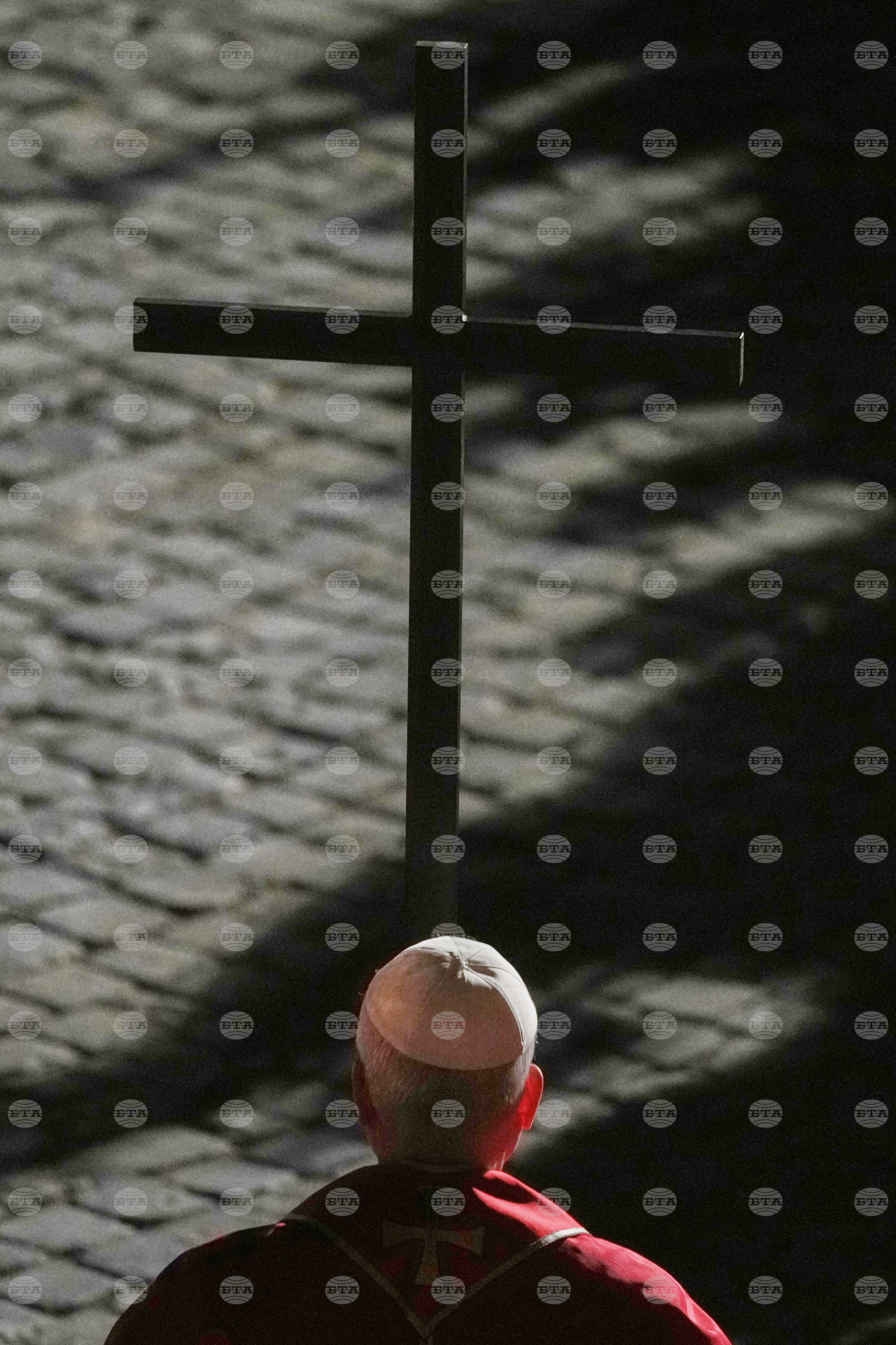 Top Vertical Photos Photo Gallery