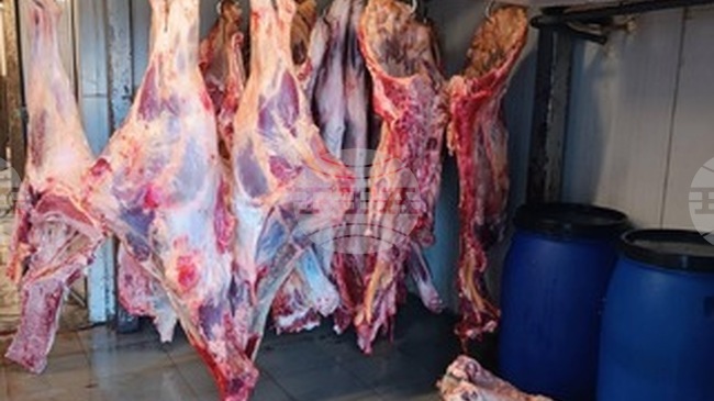 Полицията във Велико Търново разследва незаконна кланица за едър добитък в Дебелец