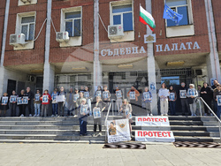 Плевен - избори - „Сияние“