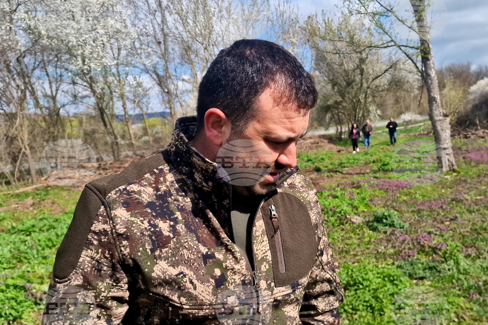 Разград - залесяване - община