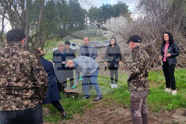 Разград - залесяване - община