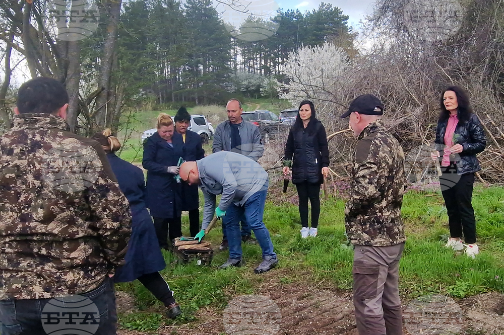 Разград - залесяване - община
