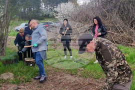 Разград - залесяване - община