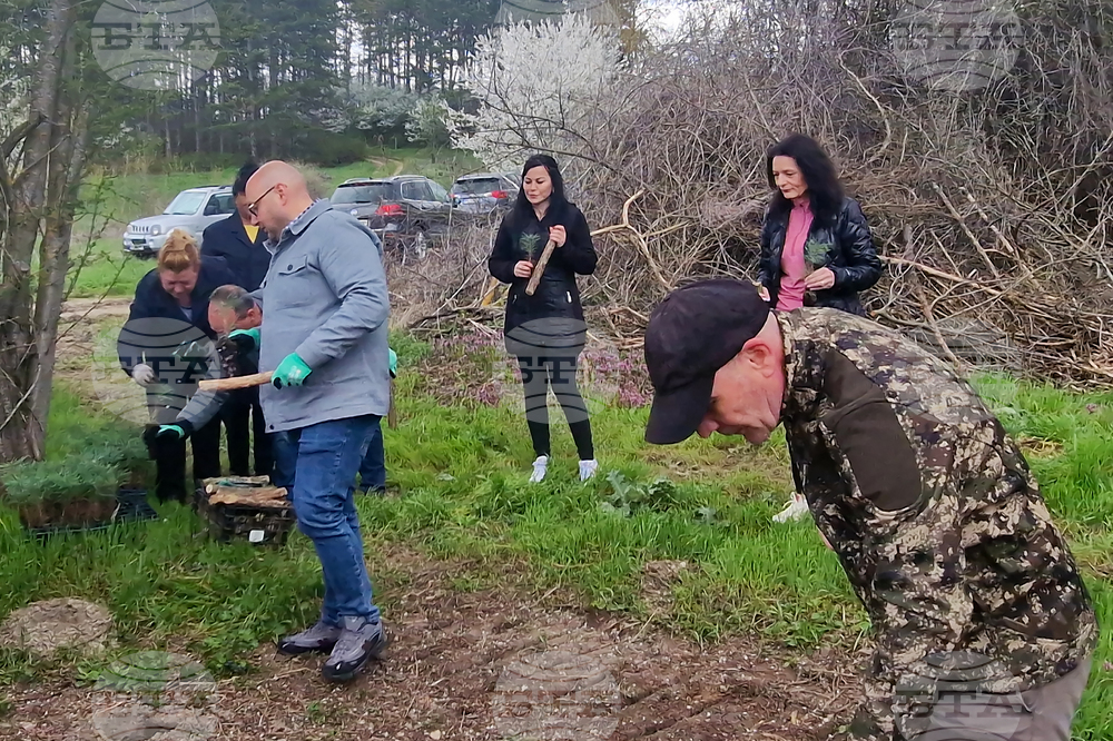 Разград - залесяване - община