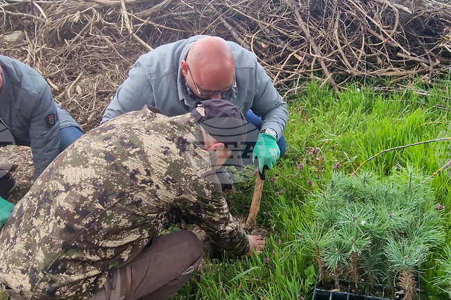 Разград - залесяване - община