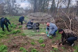Разград - залесяване - община