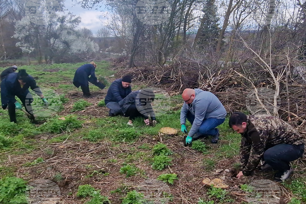 Разград - залесяване - община