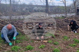 Разград - залесяване - община