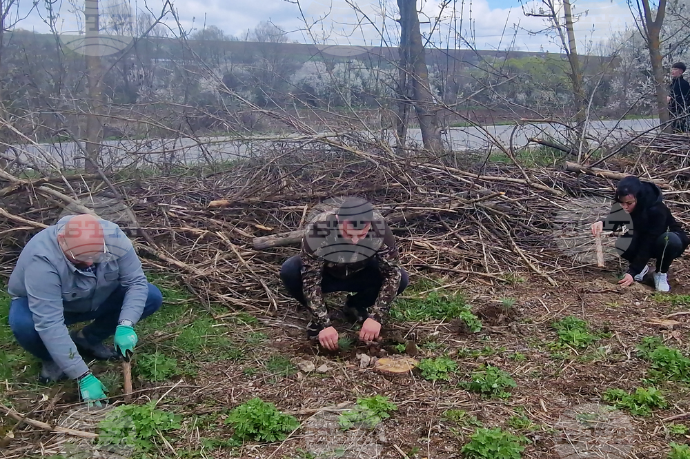 Разград - залесяване - община