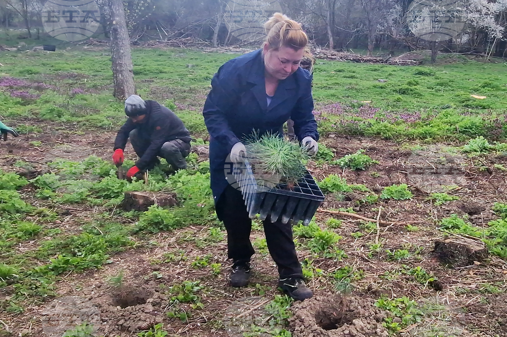 Разград - залесяване - община
