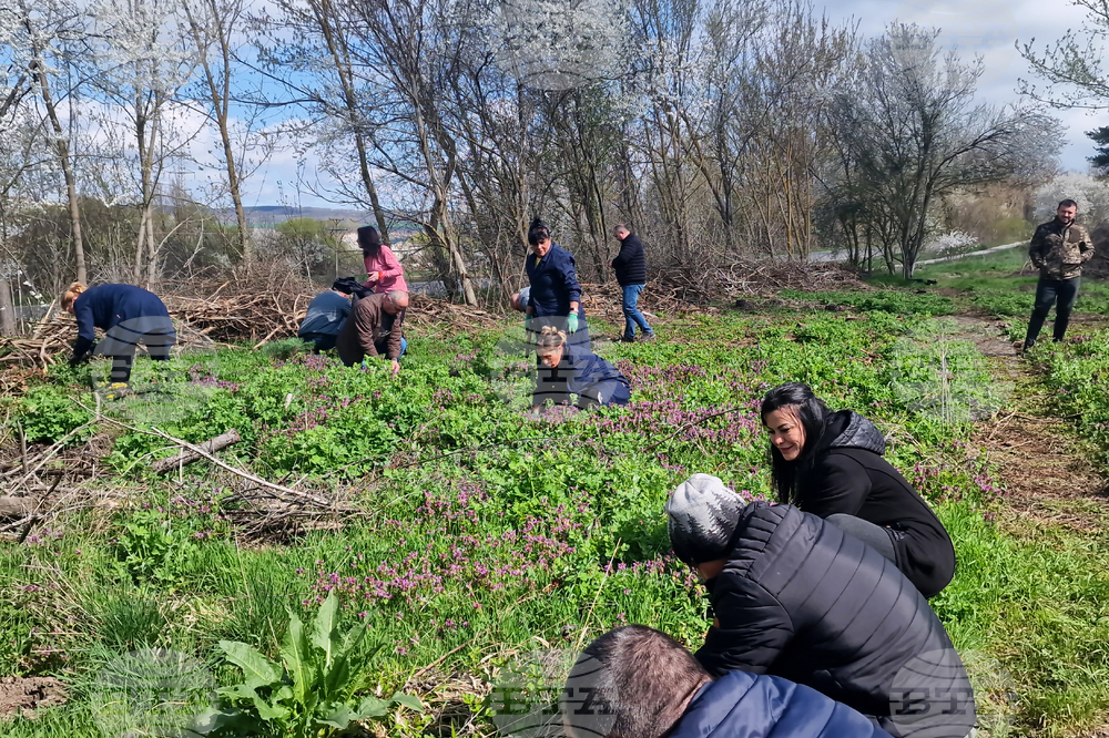 Разград - залесяване - община