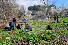 Разград - залесяване - община