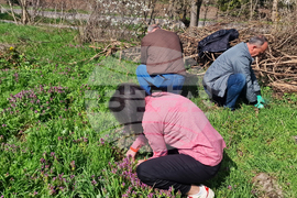 Разград - залесяване - община