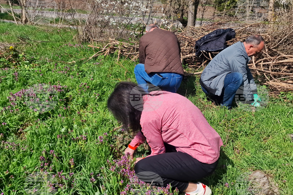 Разград - залесяване - община