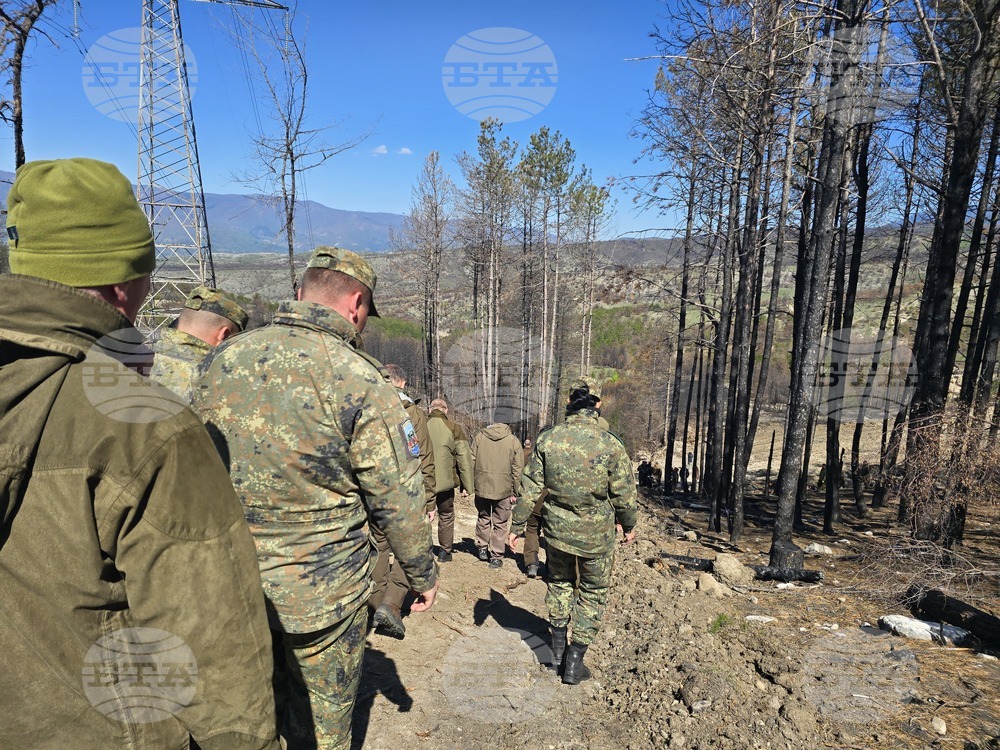Село Илинденци - община Струмяни - залесяване