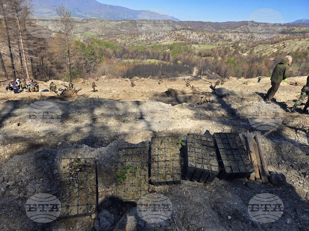 Село Илинденци - община Струмяни - залесяване