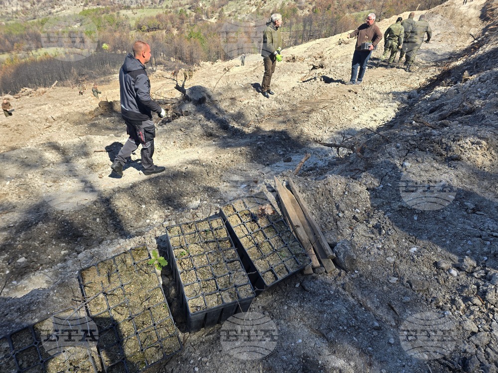 Село Илинденци - община Струмяни - залесяване