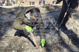 Село Илинденци - община Струмяни - залесяване