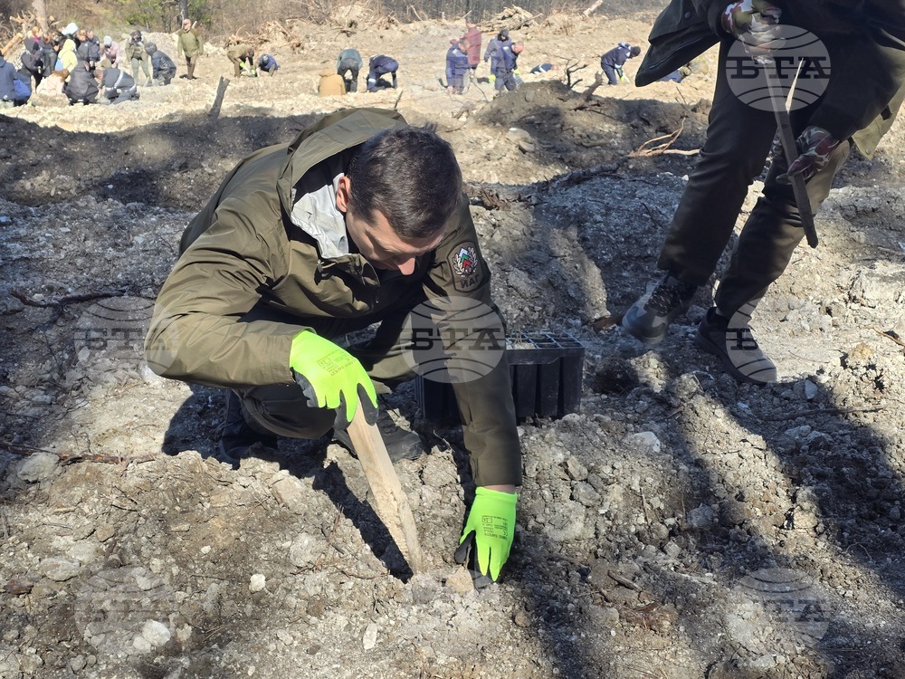 Село Илинденци - община Струмяни - залесяване