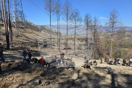 Село Илинденци - община Струмяни - залесяване