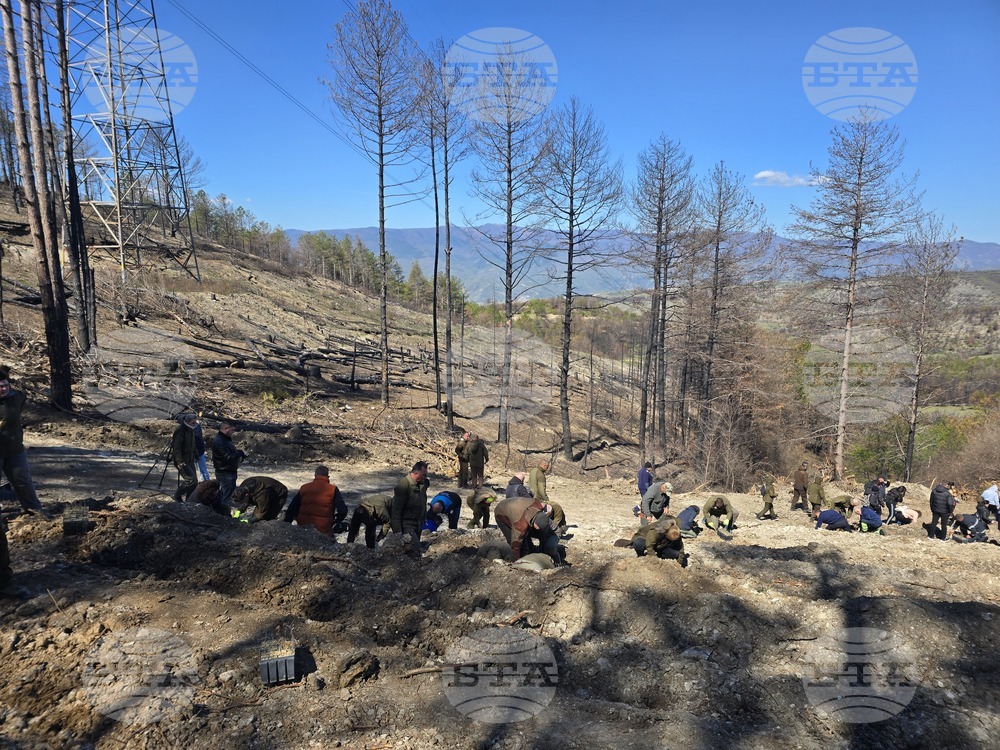 Село Илинденци - община Струмяни - залесяване