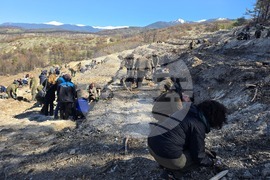 Село Илинденци - община Струмяни - залесяване