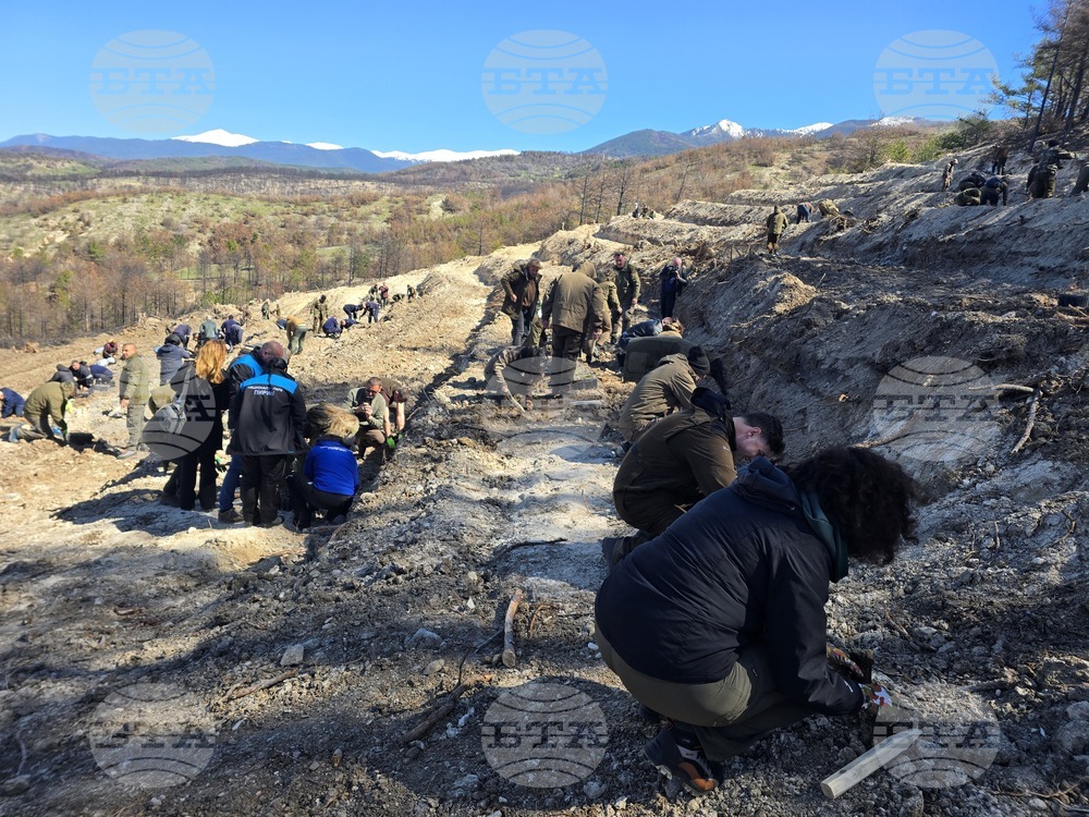 Село Илинденци - община Струмяни - залесяване