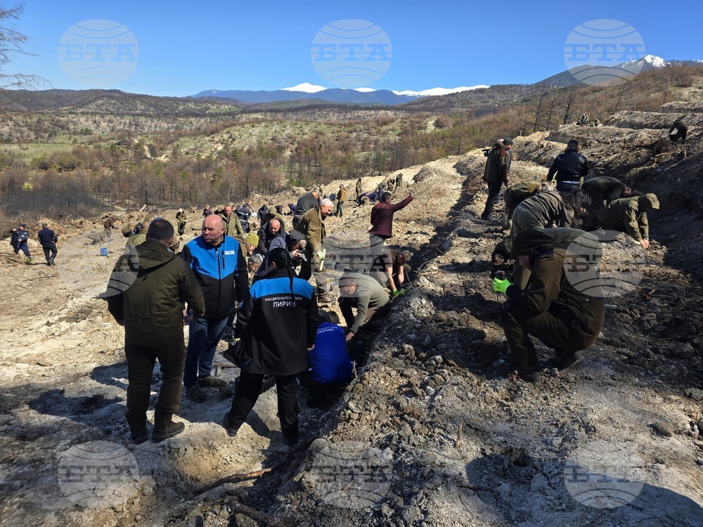 Село Илинденци - община Струмяни - залесяване