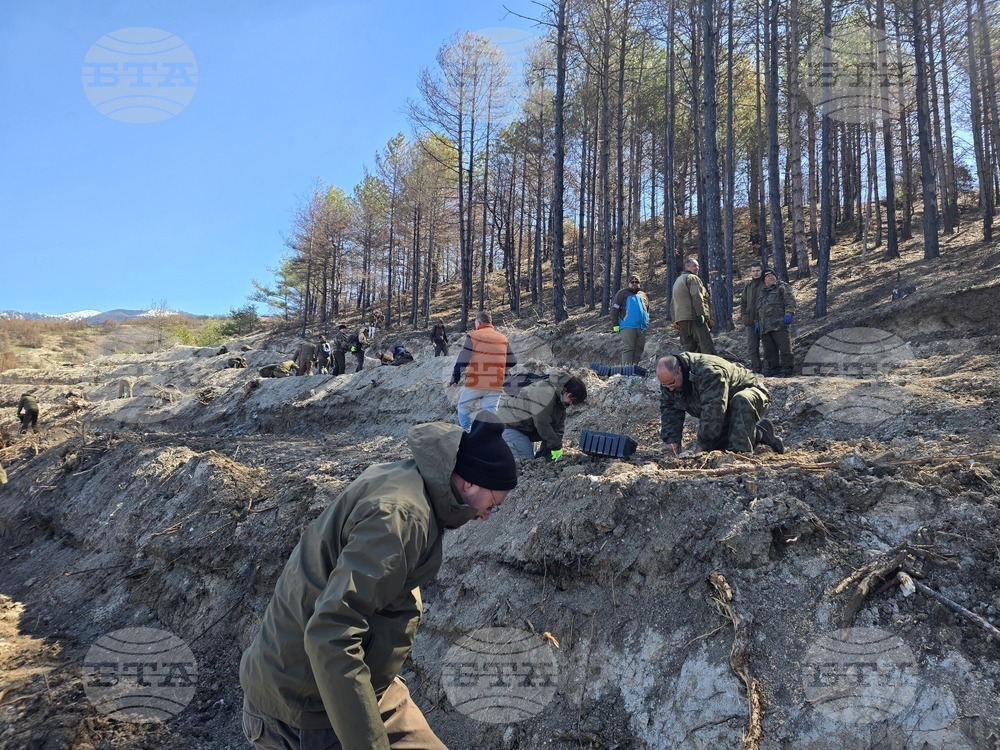Село Илинденци - община Струмяни - залесяване