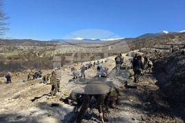 Село Илинденци - община Струмяни - залесяване