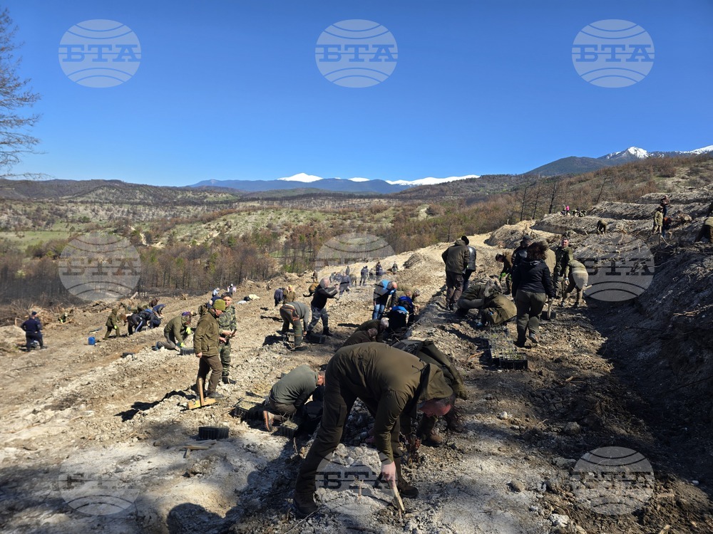 Село Илинденци - община Струмяни - залесяване
