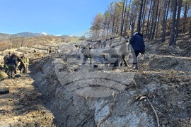 Село Илинденци - община Струмяни - залесяване