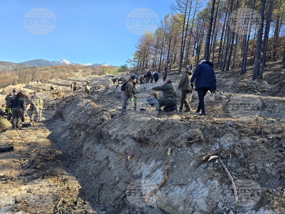 Село Илинденци - община Струмяни - залесяване
