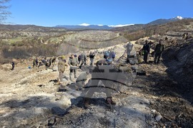 Село Илинденци - община Струмяни - залесяване