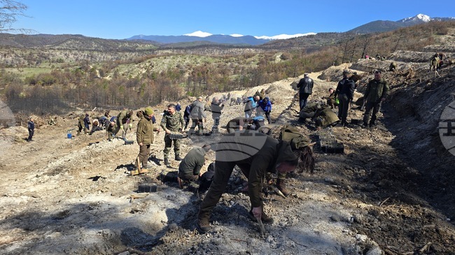 Около 180 души се включиха в залесяването на засегнатите при пожара в района на село Илинденци площи