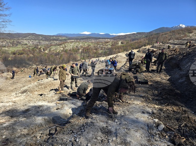 Около 180 души се включиха в залесяването на засегнатите при пожара в района на село Илинденци площи