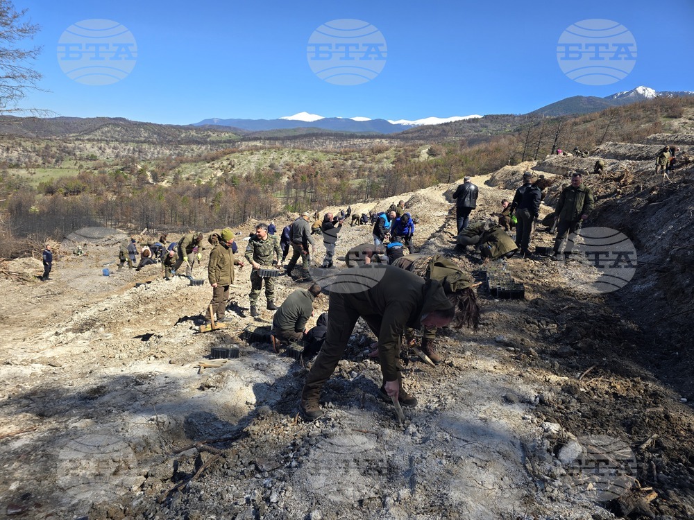 Село Илинденци - община Струмяни - залесяване