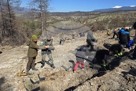 Село Илинденци - община Струмяни - залесяване