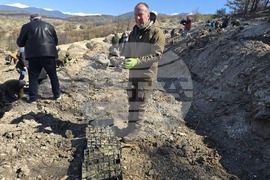 Село Илинденци - община Струмяни - залесяване